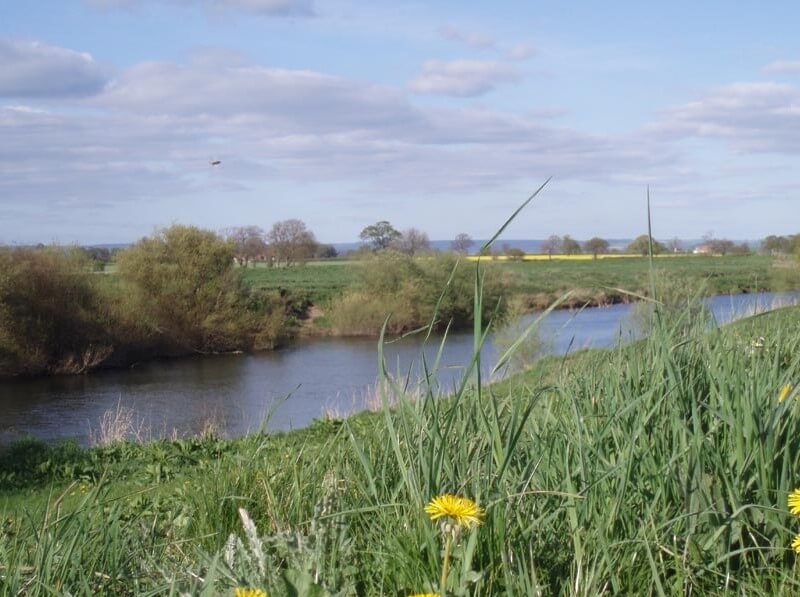 River Ure - Lower Dunsforth