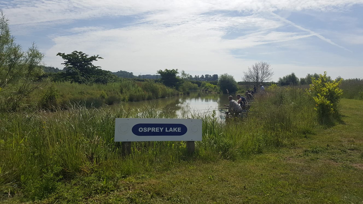 Osprey Lake, Kippax Park