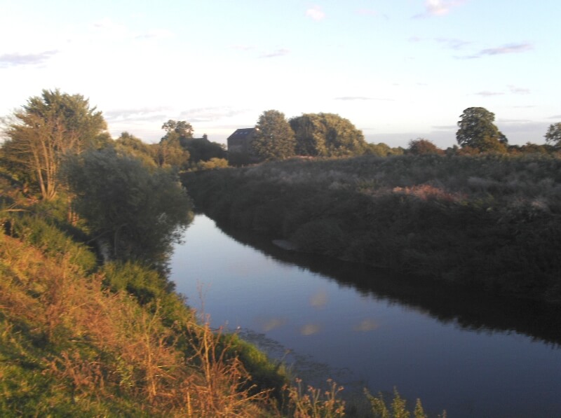 River Nidd - Hammerton